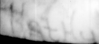 The Doe Network: Case File 1447UMAZ