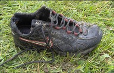 shoe